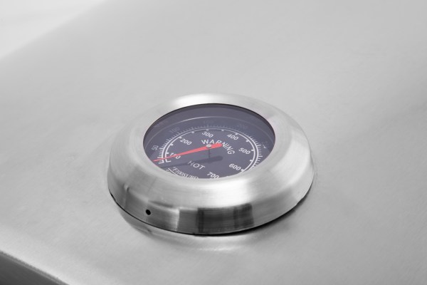 Commercial LPG Pizza Oven