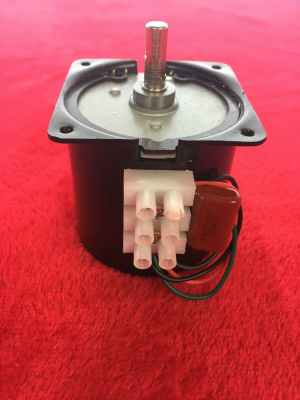 Electric Kebab Machine Motor